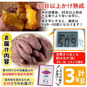No.433 ＜先行予約受付中！＞鹿児島県産！栽培期間中農薬不使用 特選甘熟さつまいも(生)紅はるか3kg(S・M・Lサイズ 混在) 贈り物にも！いも 芋 さつまいも サツマイモ 焼き芋 大学芋 スイーツ 熟成 ギフト 贈答用 【上原農園】