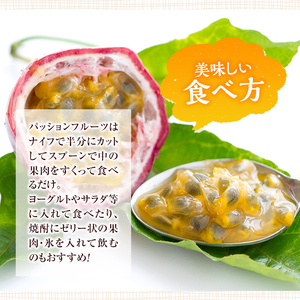 No.503 ＜数量・期間限定＞鹿児島県日置市産！パッションフルーツ(約1kg) 鹿児島 日置市 産地直送 スイーツ デザート 果実 果物 くだもの フルーツ 贈り物 贈答品 栄養満点 酸味 甘味 美容 健康【はまうえ果樹園】