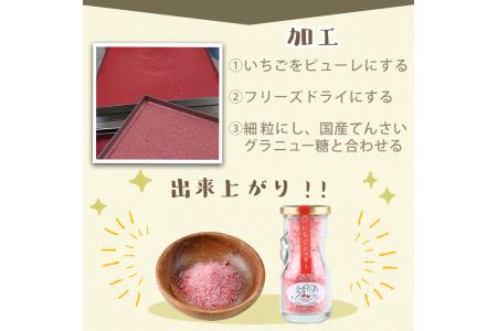 数量限定 鹿児島県産 いちご 苺 シュガー 計240g 60g×4個 果物 砂糖 パウダー 保存料無添加 着色料無添加【ままりあ農園】No.684 