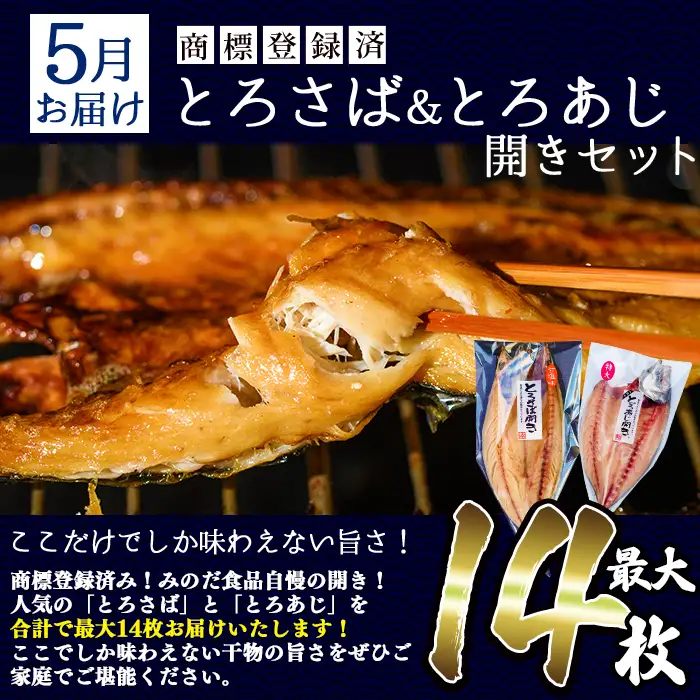 先行予約受付中 期間限定 干物 定期便 計3回 (3月・5月・7月) あじ とろさば開き 鯛 タイ ひもの 魚 おつまみ お楽しみ 頒布会 【みのだ食品】No.701 