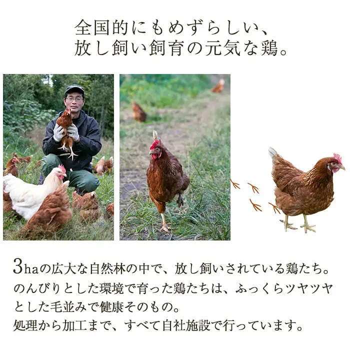 No.783 美山の有精卵でつくるだし巻き卵(380g×4本・計1520g) 国産 卵 玉子焼き 卵焼き 食品 おかず 小分け 冷凍【美山たまご王国】