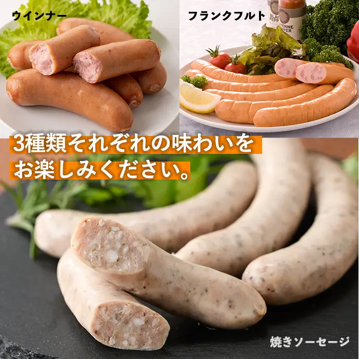 No.792 鹿児島県産！黒豚ソーセージ3種(合計約2.4kg)国産 九州産 黒豚 豚肉 ウインナー ソーセージ フランクフルト 惣菜 おかず 弁当 BBQ キャンプ 小分け 食べ比べ セット冷凍【コワダヤ】