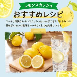 【レモン島から贈る】安心の国産レモン3kg 2027年2月から順次発送