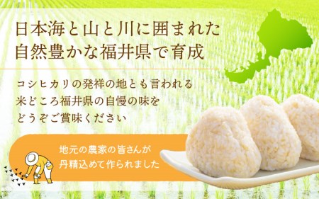  令和7年産 コシヒカリ 10kg 福井県産【玄米】【人気品種】 [e30-b014]