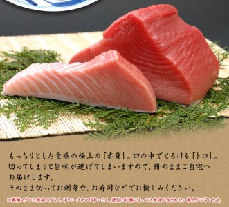 本マグロ 本鮪 トロ 赤身 500g セット【11月発送】【nks110D-11】