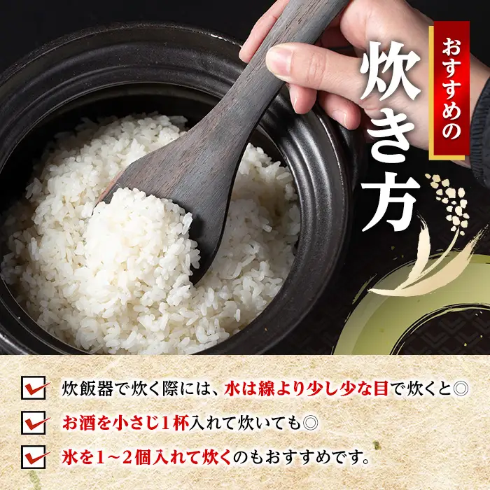 白米 精米 ブレンド米 10kg 訳あり【田上商店】 i673