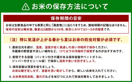 らんこし米 食べ比べ (ななつぼし・ゆめぴりか) 各5kg