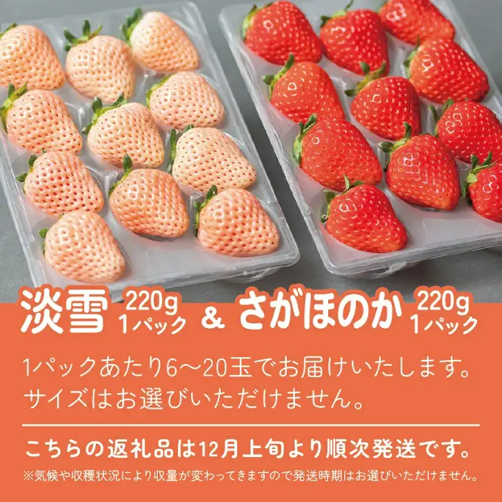 先行受付開始！佐賀県産 いちご さがほのか&淡雪 紅白セット 220g×2パック 2026年12月発送開始：B140-069
