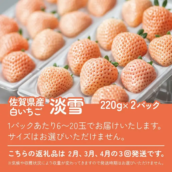 先行受付開始！【定期便3回】希少価値 佐賀県産 いちご 淡雪 2027年2~4月発送：B395-009
