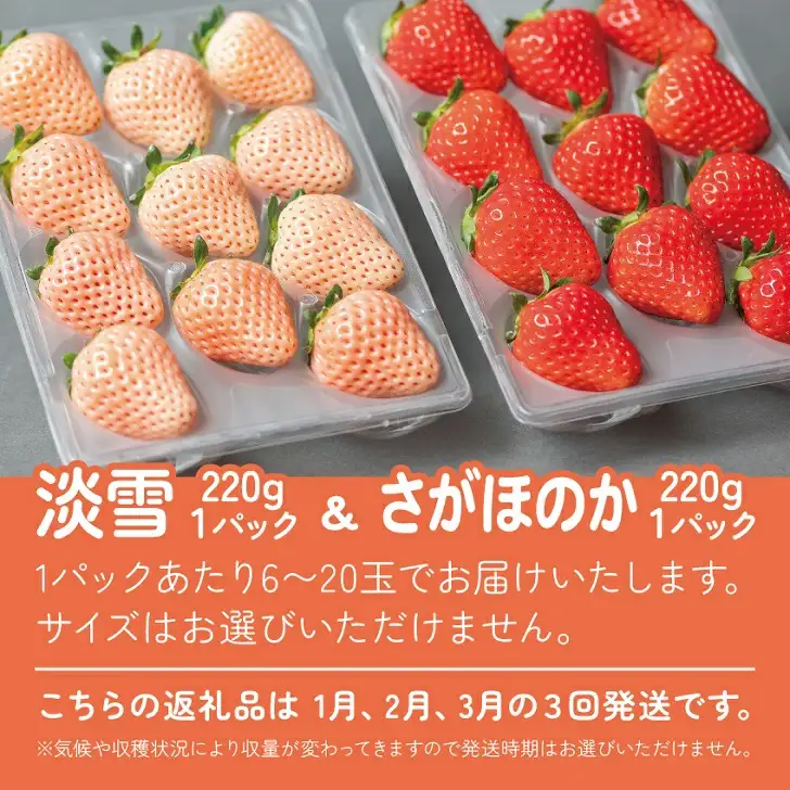 先行受付開始！【定期便3回】佐賀県産 紅白いちご 食べ比べ 2027年1~3月発送：B395-010