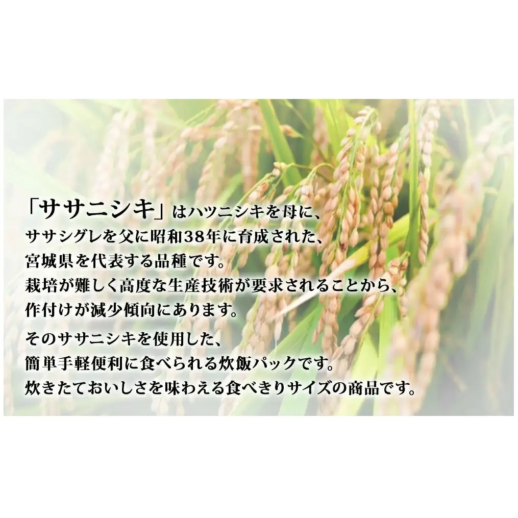 ご飯パック 宮城県産 ササニシキ 180g 24個 パックライス パックごはん ごはん パック レトルト ライス コメ ご飯 常温 米 白米 真空パック 24食 ささにしき 炊飯パック 簡単 手軽 電子レンジ 簡単調理 ゴハン こめ お米 保存食 非常食 防災 国産 宮城県 石巻市 送料無料