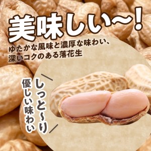 ■夏本番！珊瑚の島から贈り物！沖永良部島の赤土 生落花生1.5kg！【7月後半～9月上旬】 W045-001u 野菜 落花生