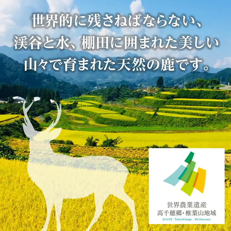 天然鹿肉 スライス 700g 宮崎県高千穂町産 ジビエ 鹿肉 肉 お肉 獣肉 高タンパク 低カロリー ヘルシー 焼肉 BBQ アウトドア キャンプ グランピング 鍋料理 炒め物 おかず カット済み ジップ チャック 使い勝手 グルメ お取り寄せ 人気 おすすめ 国産 宮崎県 高千穂町 _Tk005-085