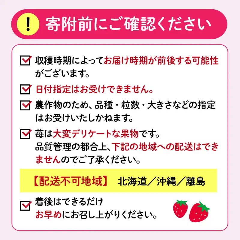 【期間限定】白いちご 紅ほっぺ いちご 苺 1260ｇ 白いちご