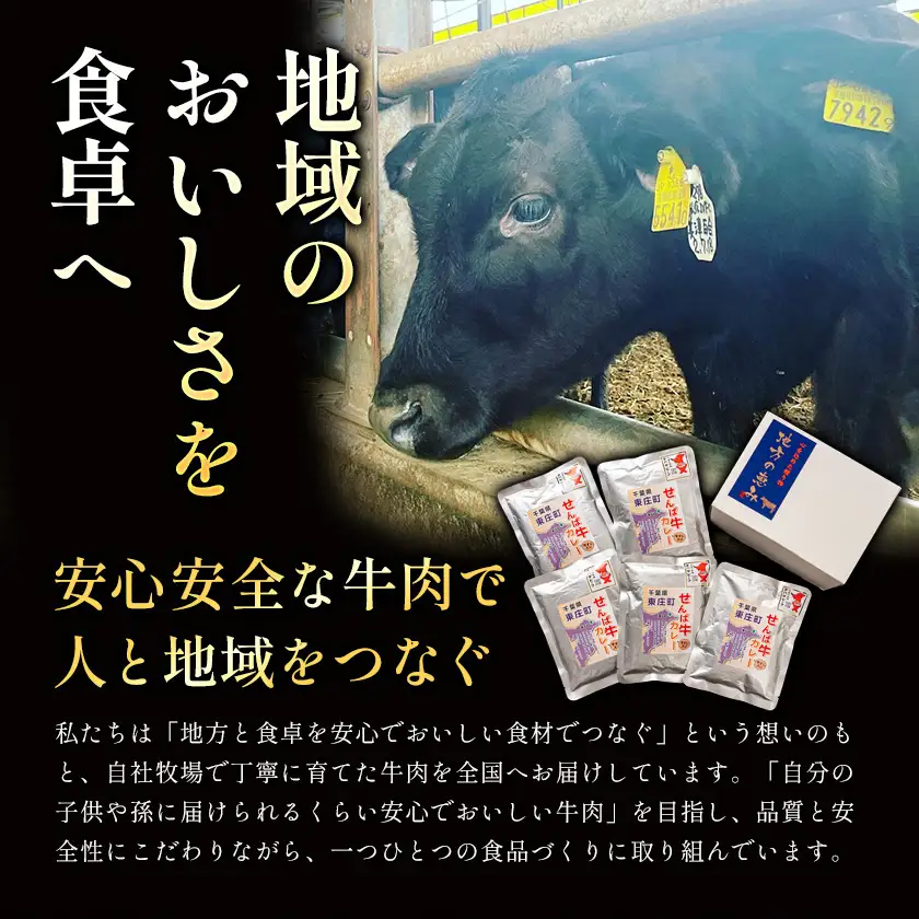 せんば牛 100% ハンバーグ 140g×6個 地方の恵み ハンバーグ