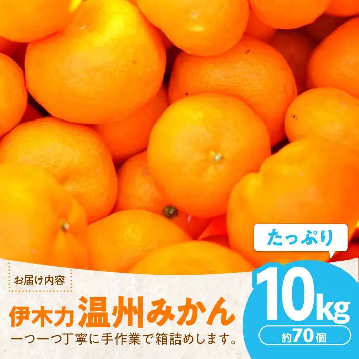 みかん10kg AHBD001 伊木力みかん