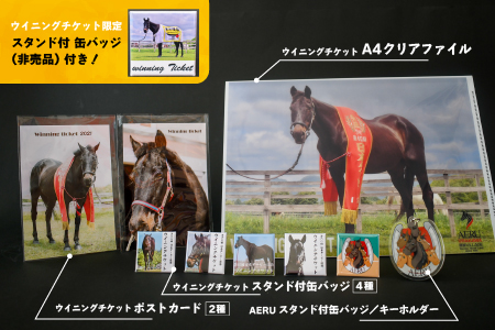 優駿ビレッジAERU G1馬オリジナルグッズ(計13個)[07-1168]
