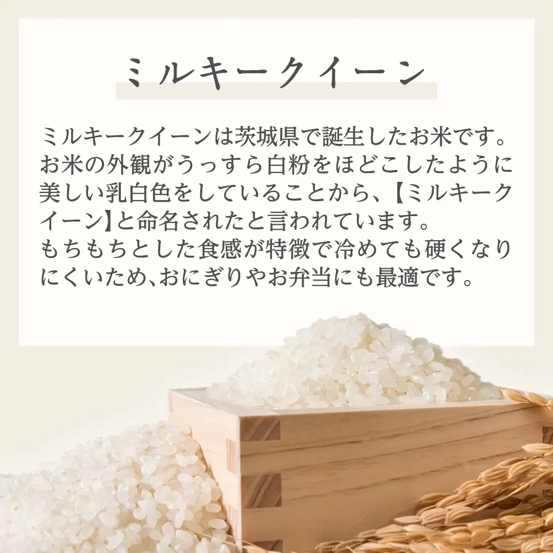 《 令和7年産 》茨城県産 ミルキークイーン 20kg ( 5kg × 4袋 )  米 コメ こめ 五ツ星 高品質 白米 精米 お弁当 期間限定