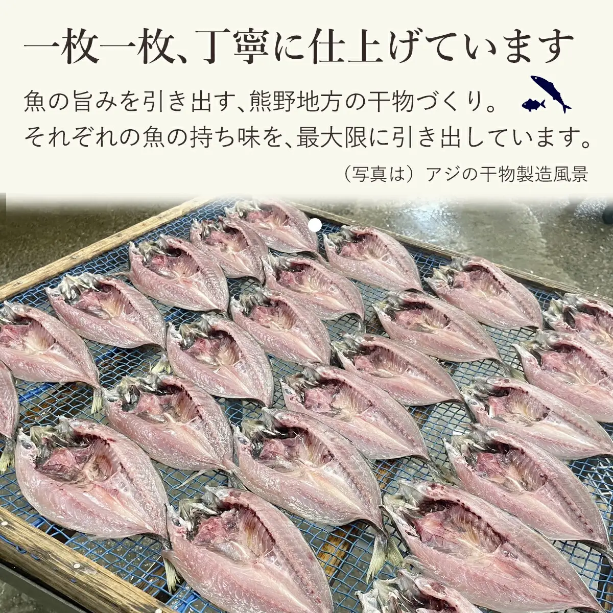 干物 さんま みりん干し 8枚 国産 干物【mtys0007】
