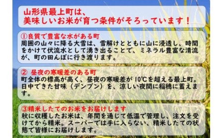 【令和7年産】　山形県産 はえぬき 20㎏ (10㎏×2袋)