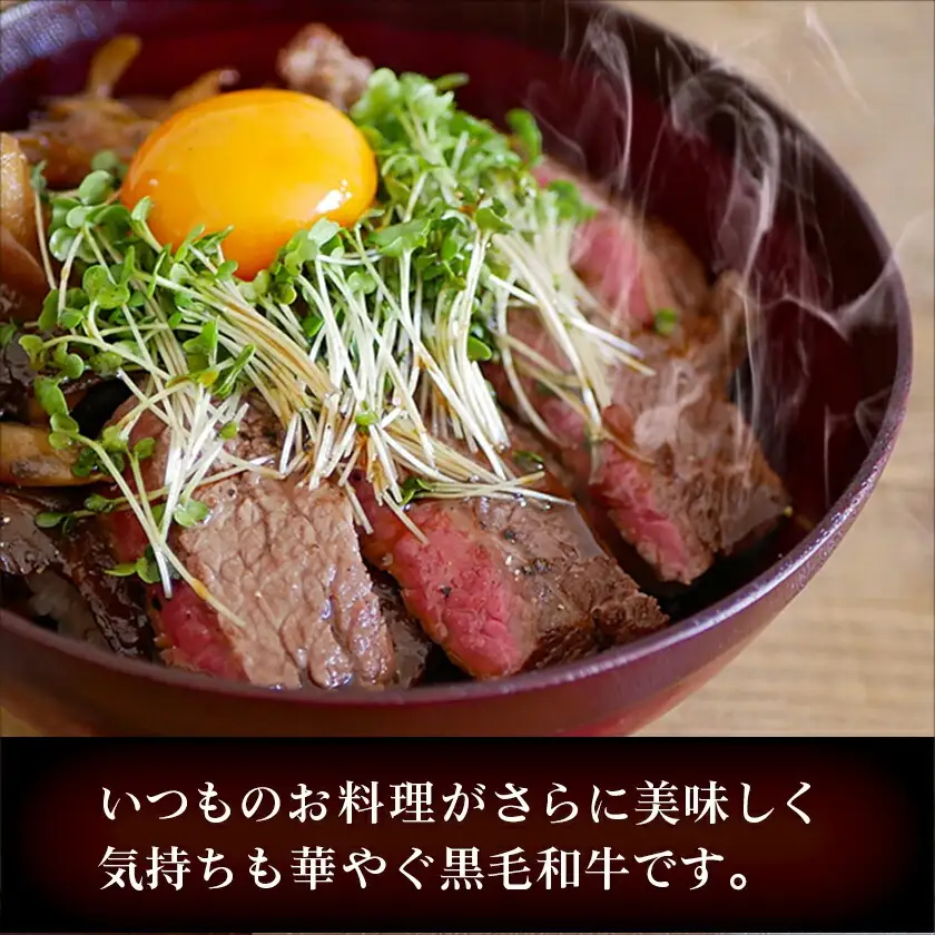 【国産黒毛和牛】赤身ステーキ 100g×6枚〔MJE-E9-004〕_(都城市) 国産黒毛和牛 モモステーキ 100g×6枚 モモ ステーキ 冷凍配送 