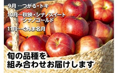 【令和8年産】≪9月中旬～順次発送≫ 飛騨リンゴ 3kg（7～12玉入り）おまかせ２品種 食べ比べ | 数量限定 果物 りんご リンゴ 林檎 フルーツ 旬 飛騨高山 10000円 1万円 ぜんぞう果樹園 FX001-26
