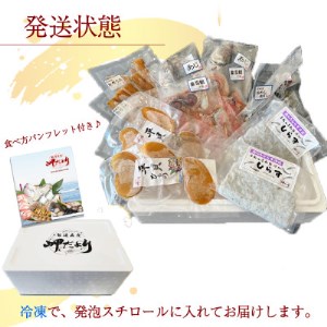 岬だより 南知多干物セット [配送不可地域：離島]