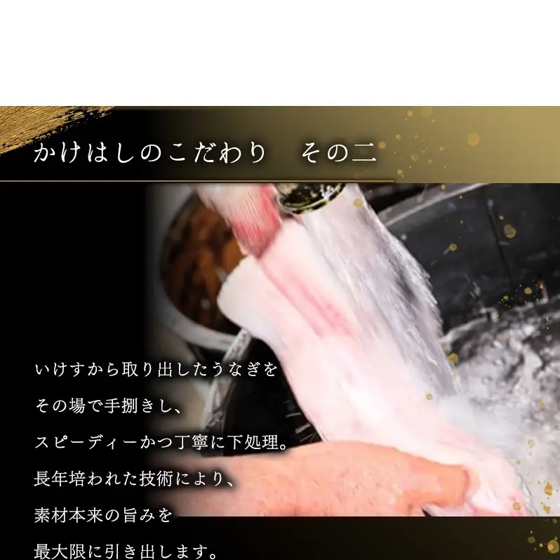 うなぎ 特大 国産 かけはし 蒲焼き・白焼き 備長炭焼き うなぎ【1尾 300〜400g】