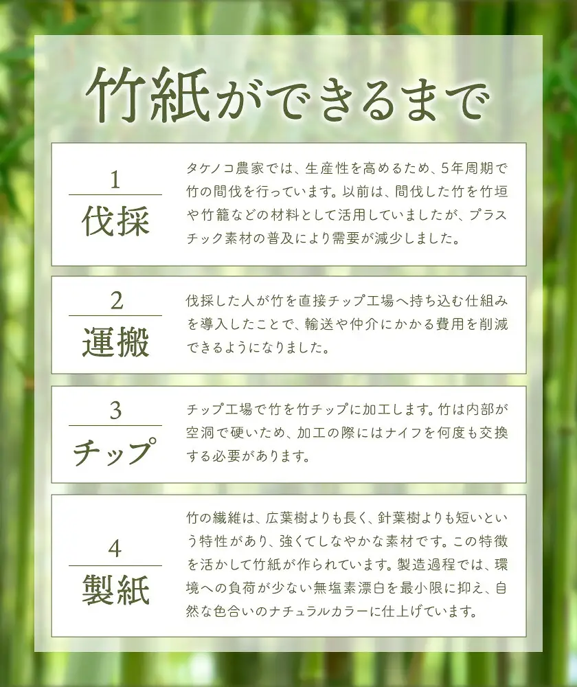 竹ねこ便箋 ホワイト 合同会社ハヌル 竹紙ラボ《30日以内に出荷予定(土日祝除く)》