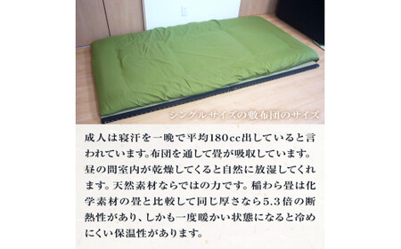 縁付和楽畳　寝床用２枚セット