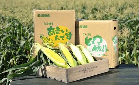 北海道産 とうもろこし 令和８年発送 ピュアホワイト3本＆あまいんです3本 食べ比べ 南幌町 NP1-177