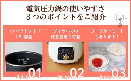 電気圧力鍋　 2.5L新潟県田上町