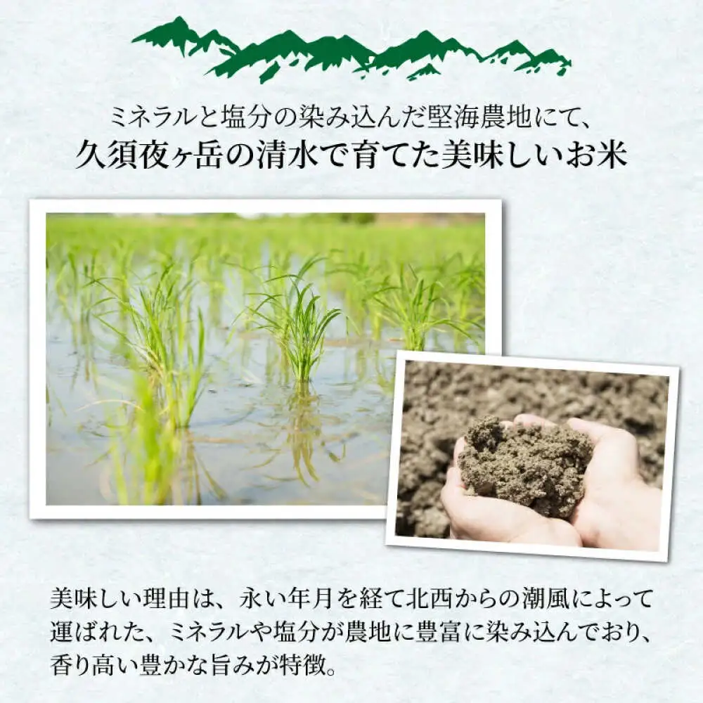 【 先行予約 /10月以降配送】【令和7年産】福井県産コシヒカリ「千石」 10kg 小浜市 / 千石の郷  [BFCA001]