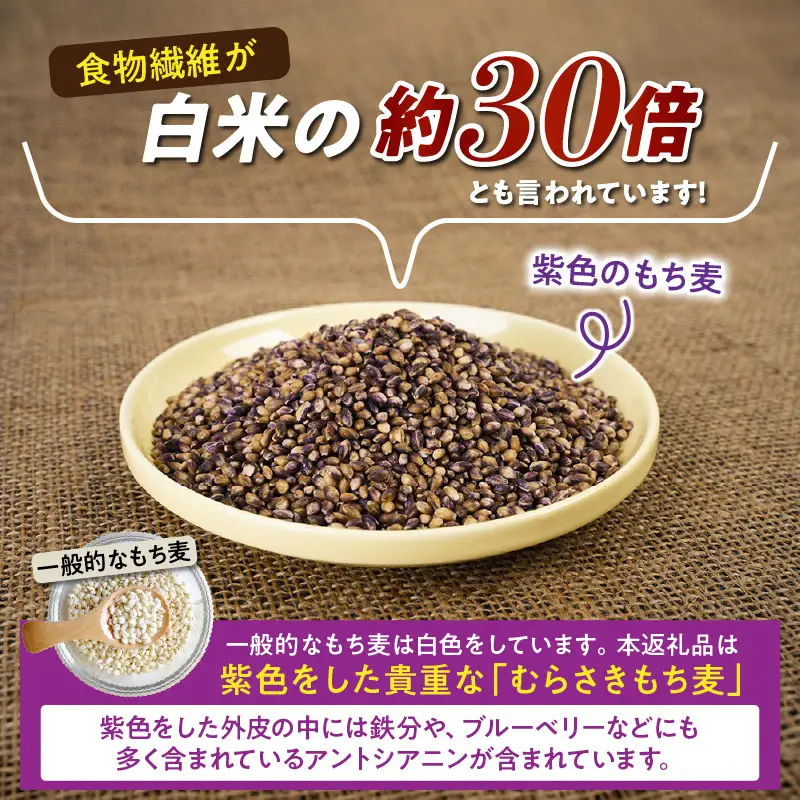 そのまま使える！蒸しむらさきもち麦150g_2104R