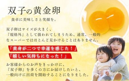 卵 産みたて新鮮卵 30個入り ※二黄卵3個以上入り※沖縄・離島への配送不可【aubless003】