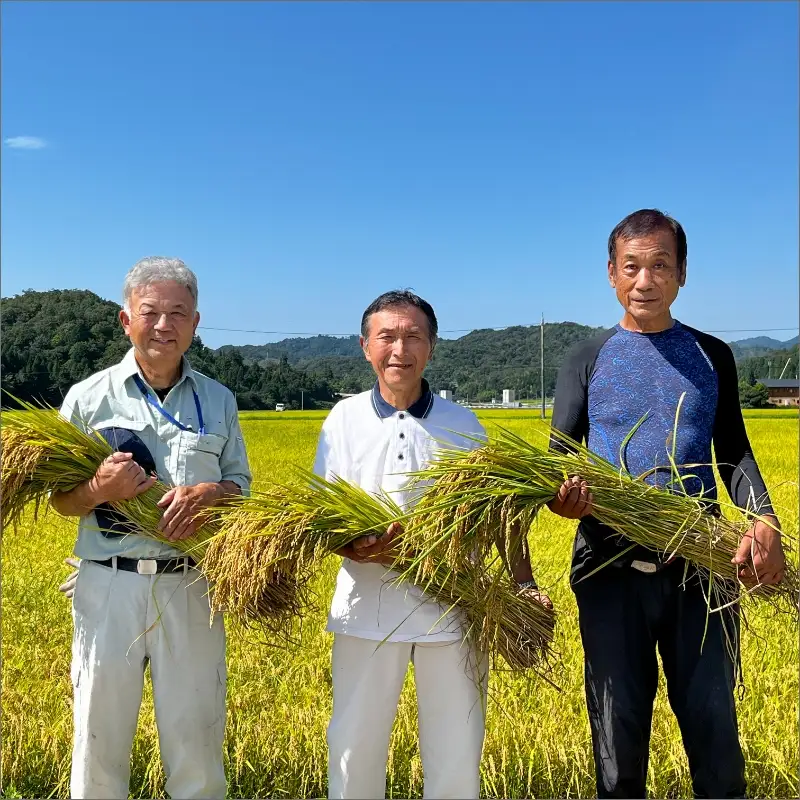 米 新米 2025年産 京丹後産生物多様性米コシヒカリ 10kg