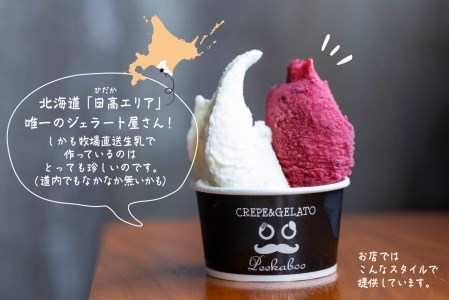 北海道産 生乳 ジェラート アイス 8種 8個 ジェラートセット