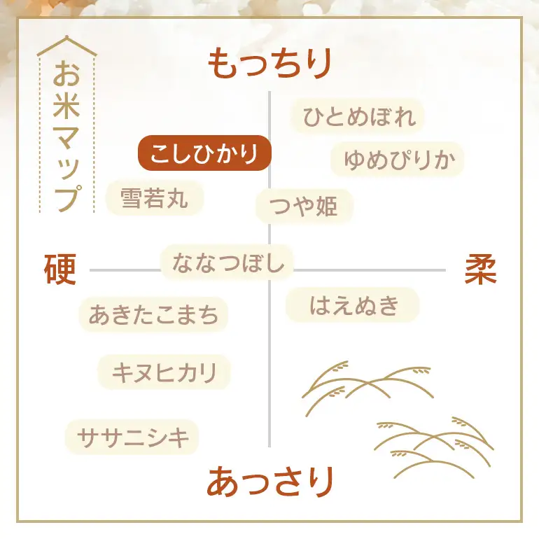 定期便 常陸牛農家が育てるコシヒカリ 5kg×12回 令和8年度産 米 お米 白米 こめ 精米 取り寄せ 特産 ごはん ご飯 コメ お取り寄せ ギフト 贈り物 お弁当 弁当 おにぎり ふっくら ツヤツヤ 甘い 農家直送 産地直送 国産 茨城県産
