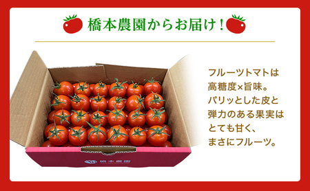  フルーツ トマト ［2027年先行予約］ トマデリッシュ 約1.2kg 橋本農園 岡山 野菜 高糖度 旨味 弾力 果実 甘い サラダ そのまま 岡山県産 緑黄色野菜 