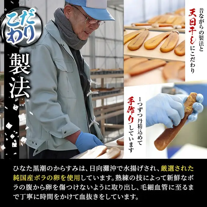 からすみパスタソース(合計600g・100g×6P)クリーム・豆乳・和風の3種！別添からすみパウダー(計36g・6g×6p)付き カラスミ 魚卵 珍味 冷凍 ボラ イタリアン【B-13】【SA・Te黒潮】