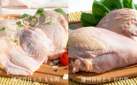 アラジン グリル＆トースター4枚白 播州百日どり アラジン