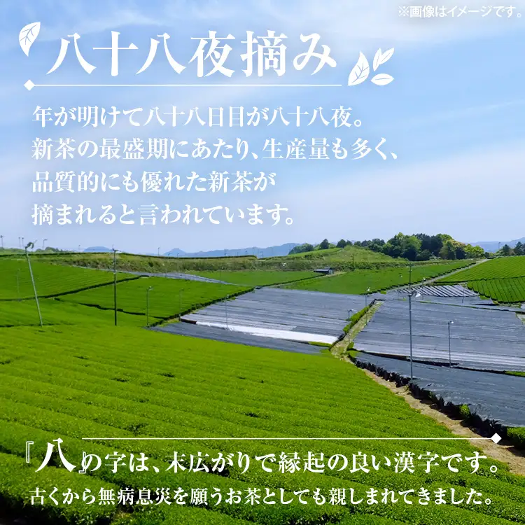 八女産蔵出し新茶 80g×2袋 計160g 緑茶 お茶 新茶 八女茶 国産 福岡県八女産 送料無料【2026年10月下旬以降順次発送予定】