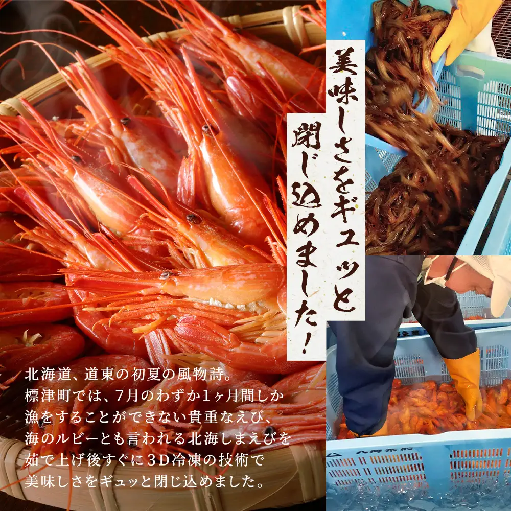 【北海しまえび】 しまえび 特大 400g 【AF】