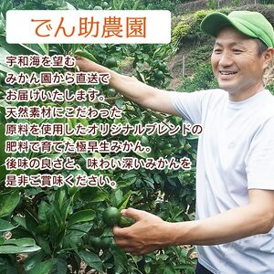愛媛県西宇和産 でん助みかん（極早生）5kg ご家庭用 MDN0002