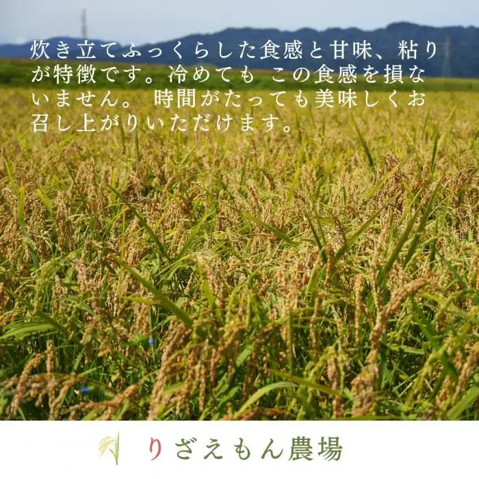 《令和8年産　新米予約受付》【定期便５回×玄米３０kg《合計150kg》】【隔月発送】南魚沼産コシヒカリ　玄米 ３０kg　＼生産農家直送／【2026年10月上旬より順次発送予定】
