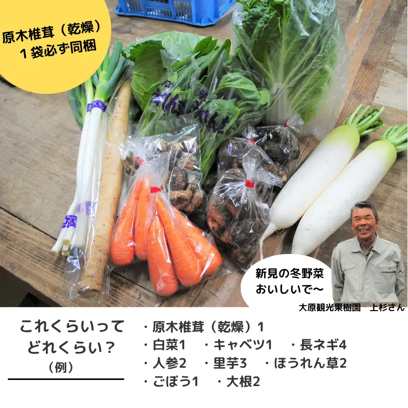 新見市産 冬の野菜詰め合わせセット【11月中旬～1月中旬発送】