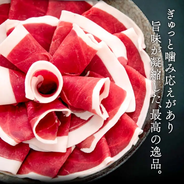 イノシシ肉のハンバーグ 4袋セット
