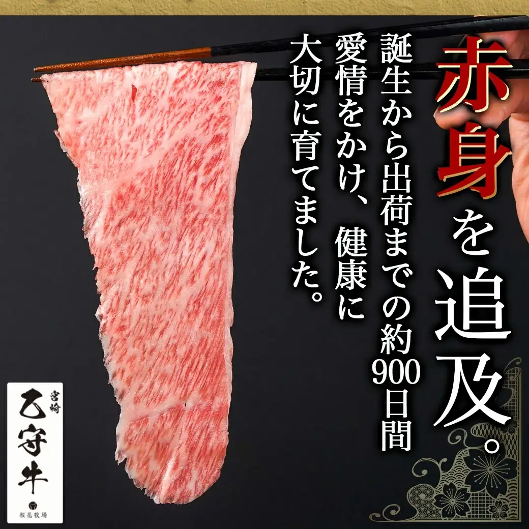 数量限定！【宮崎牛A5】小間切れ500g(乙守牛)〔19-6502〕_(都城市) 都城産宮崎牛 乙守牛 A5 小間切れ 500g×1パック 牛肉 