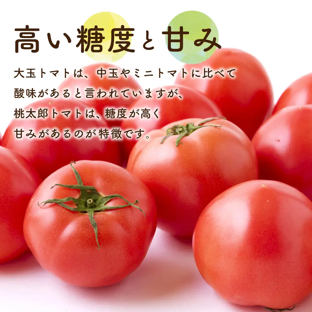 【ふるさと納税】 道の駅うきは 桃太郎トマト 12玉前後 (約2kg) 【2026年11月上旬から2027年5月上旬 出荷予定】 トマト とまと ももたろうトマト 大玉トマト 野菜 ベジタブル 新鮮 フレッシュ お取り寄せ 福岡県 うきは市