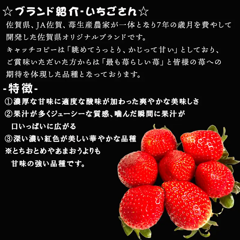 『先行予約』【令和9年3月より順次発送】唐津産 いちごさん 約250g×2パック(合計約500g) 
